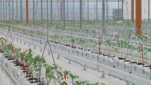 Bayer apre le porte all’innovazione, nuove serre hi-tech a Latina