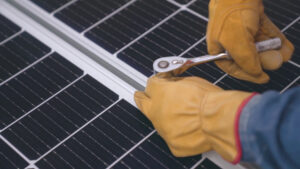 Lavoro, “green jobs” i più richiesti dalle imprese