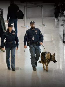 Fiumicino – Dal Brasile con 48 ovuli di cocaina nello stomaco, arrestato