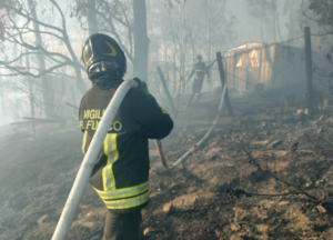 Cerveteri, vasto incendio di sterpaglie: fiamme a ridosso delle abitazioni