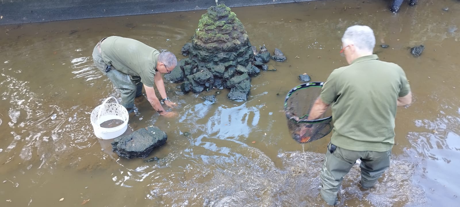 Viterbo – Altra morìa di pesci a Pratogiardino, FdI: “Comune assente è dovuta intervenire la Regione”