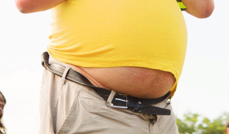 Senato, l’Italia ha la prima legge al mondo sulla cura e prevenzione dell’obesità