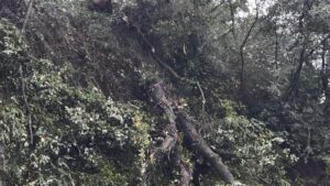 Bagnoregio – Crollo sulla provinciale, strana bloccata verso Lubriano