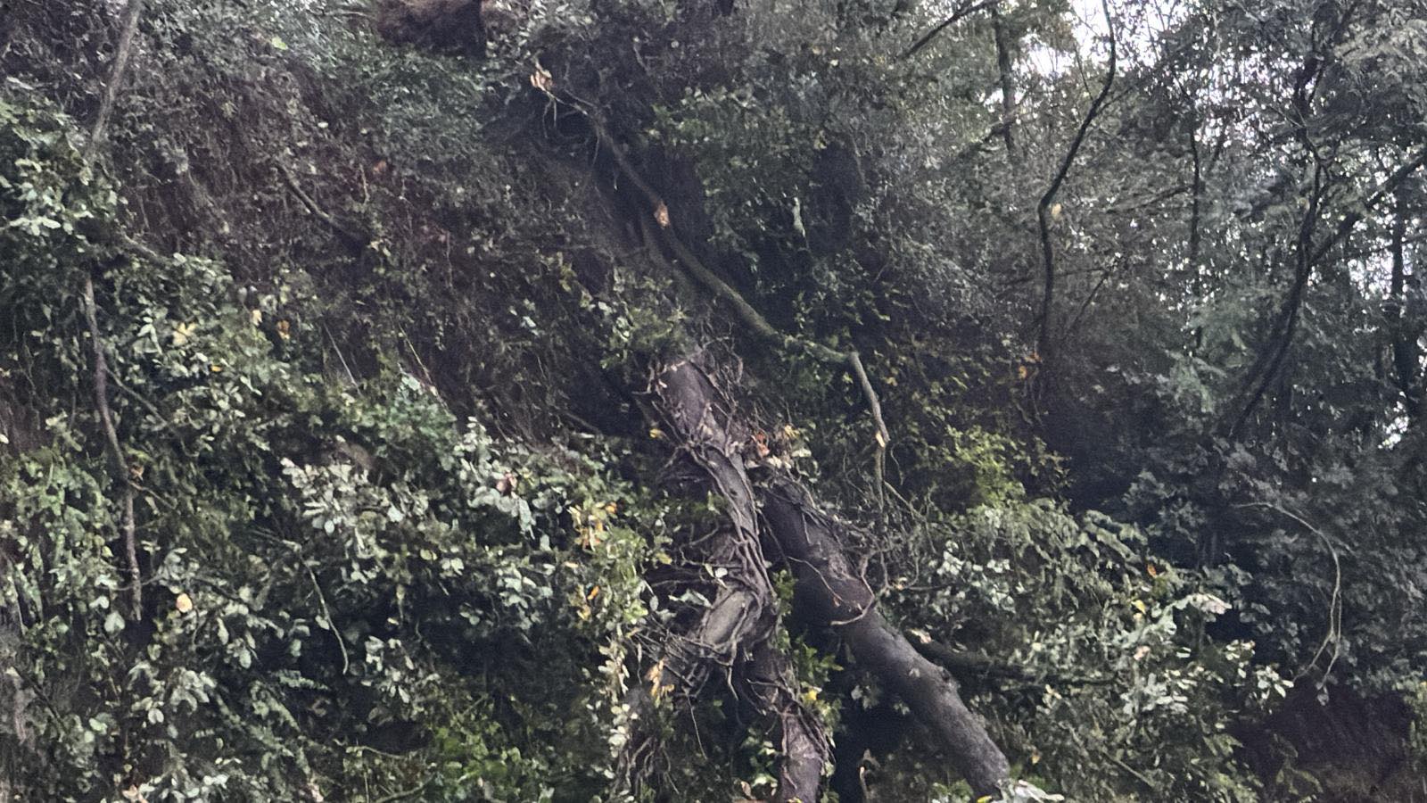 Bagnoregio – Crollo sulla provinciale, strana bloccata verso Lubriano