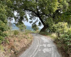 Bolsena – Riqualificazione sulla via Francigena: migliorato il manto stradale
