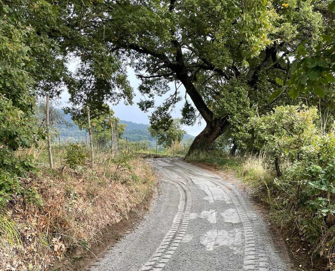 Bolsena – Riqualificazione sulla via Francigena: migliorato il manto stradale