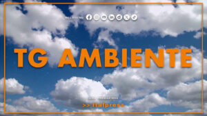 Tg Ambiente – 16/11/2025