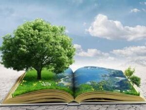 Al via ‘Impronta Futura’, percorso di sostenibilità e cittadinanza attiva