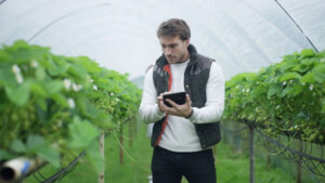 Agricoltura Made in Italy, tra primati e fragilità