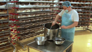 Tomarchio, Natale 2025 all’insegna di innovazione e inclusività