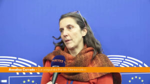 Ue, Corrado (Pd) “Sul regolamento deforestazione il Ppe spacca gli accordi”