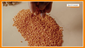 Sorsi di Benessere – Una ricetta gustosa a base di lenticchie e castagne