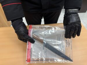 Cesano – Lite in famiglia finisce nel sangue: donna accoltella il convivente