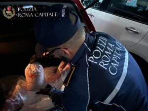 Roma – Mercato Esquilino: sequestrata mezza tonnellata di carne stipata nei bagagliai dei veicoli all’interno di autorimessa