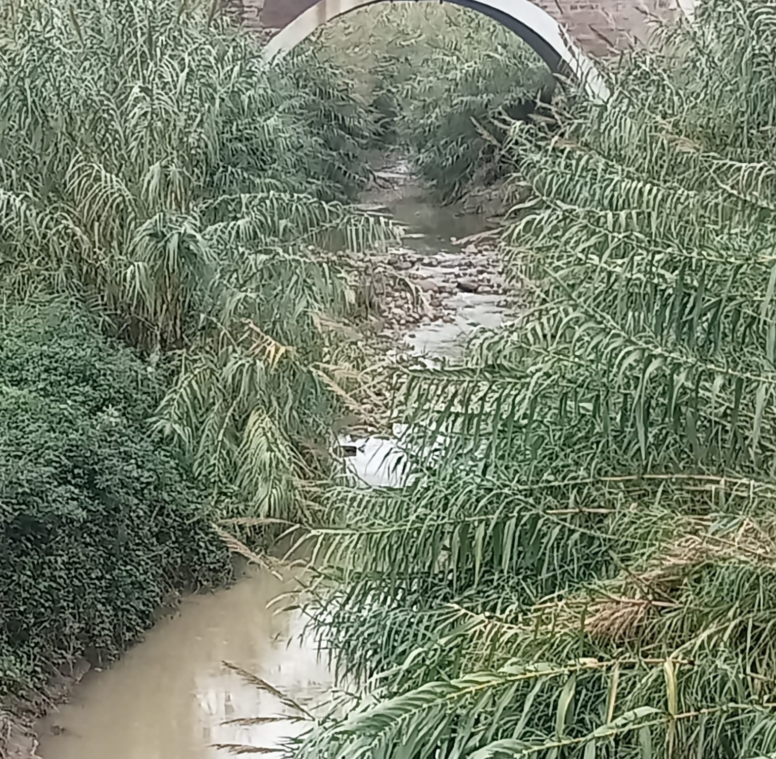 Santa Marinella – Maltempo e grandine, ma i fossi resistono: residenti e turisti al sicuro