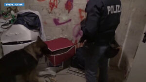 Sgominata una banda a Trento, 23 misure cautelari per furti e spaccio di droga