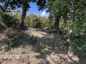 Corchiano – “Basolato dell’antica Via Amerina usato come discarica”, Bengasi Battisti presenta mozione ufficiale