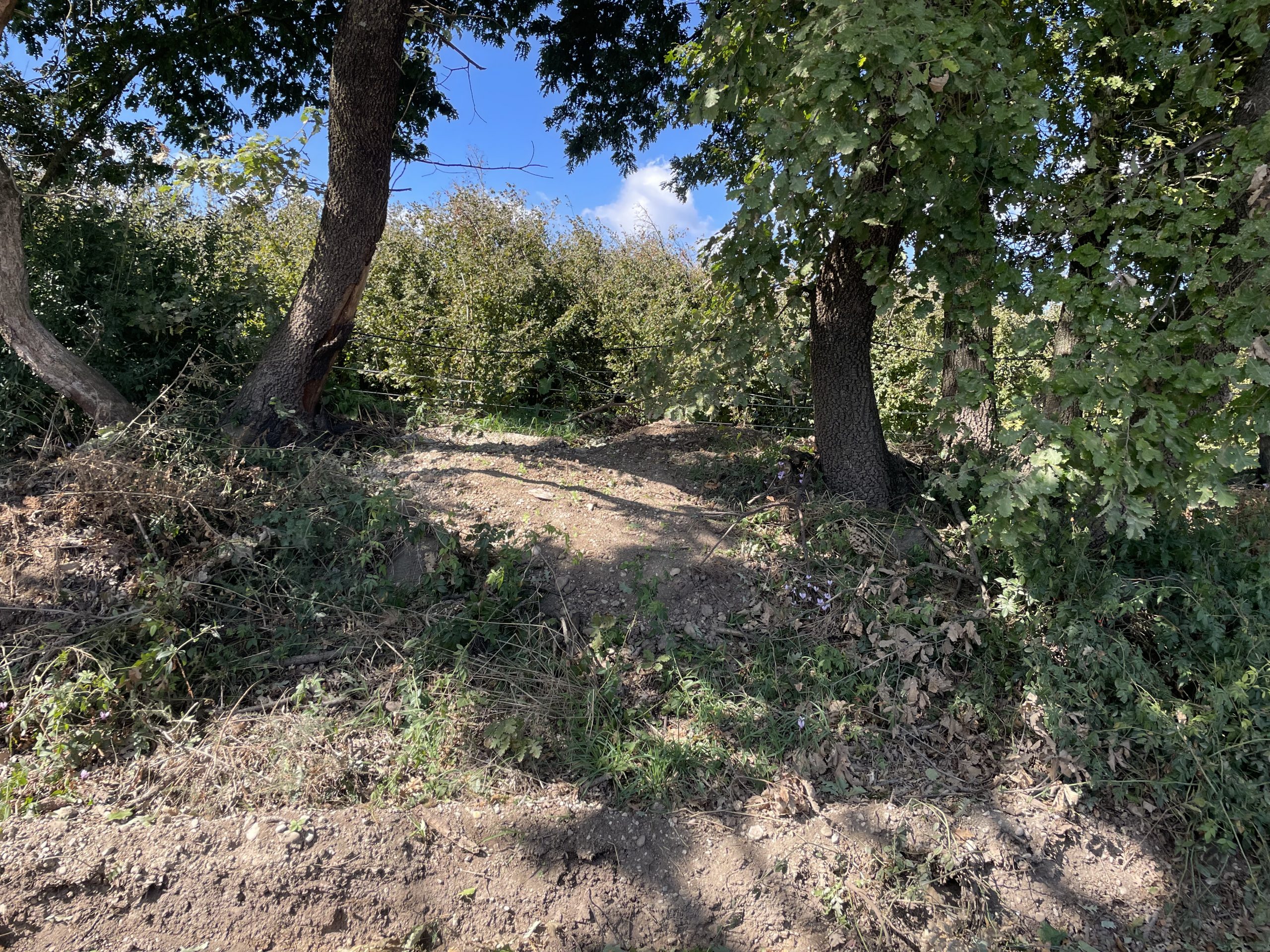 Corchiano – “Basolato dell’antica Via Amerina usato come discarica”, Bengasi Battisti presenta mozione ufficiale