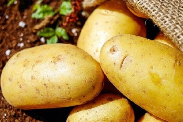 Agricoltura – Regione Lazio e Arsial riavviano l’iter di riconoscimento della Patata di Leonessa IGP