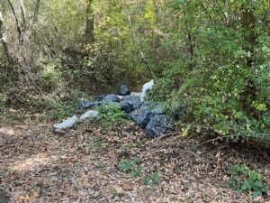 Vasanello, discariche a cielo aperto nei boschi e nei pressi del sito archeologico di Palazzolo