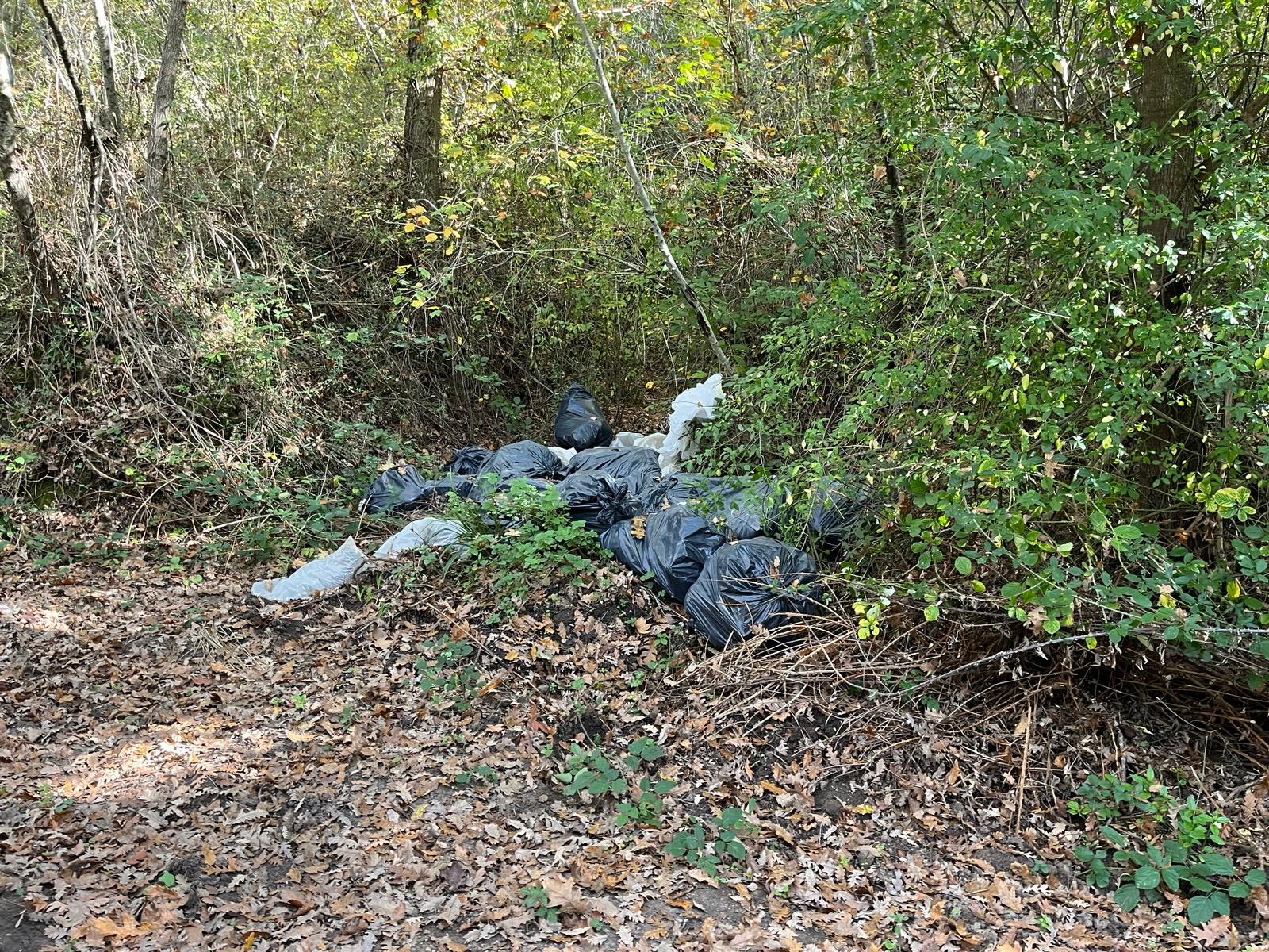 Vasanello, discariche a cielo aperto nei boschi e nei pressi del sito archeologico di Palazzolo