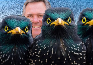 Tarquinia – Grazie ai dissuasori acustici anti stormi in città è sempre Halloween