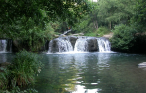 Calcata – Rinvenuto corpo nella valle del Treja, possibile collegamento con anziano scomparso