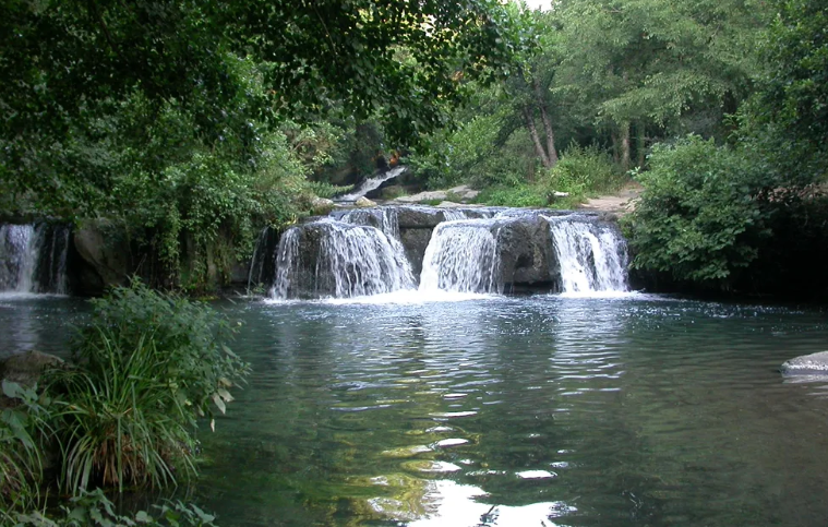 Calcata – Rinvenuto corpo nella valle del Treja, possibile collegamento con anziano scomparso