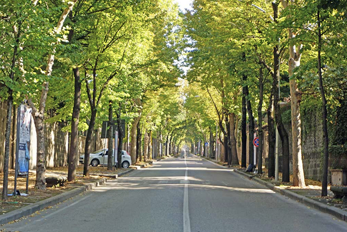 Viterbo, weekend di lavori stradali: traffico vietato in viale Trieste