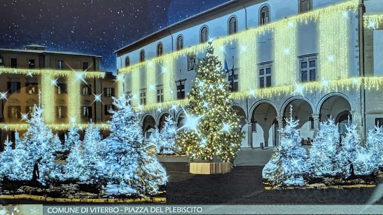 Viterbo illumina le feste: torna il grande albero in piazza del Comune