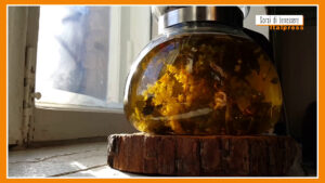 Sorsi di Benessere – Una tisana della sera