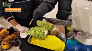 All’aeroporto di Linate sequestrate 6,5 tonnellate di alimenti non sicuri