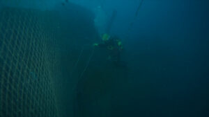 Dal mare all’energia, Green Plasma trasforma le reti fantasma in risorsa