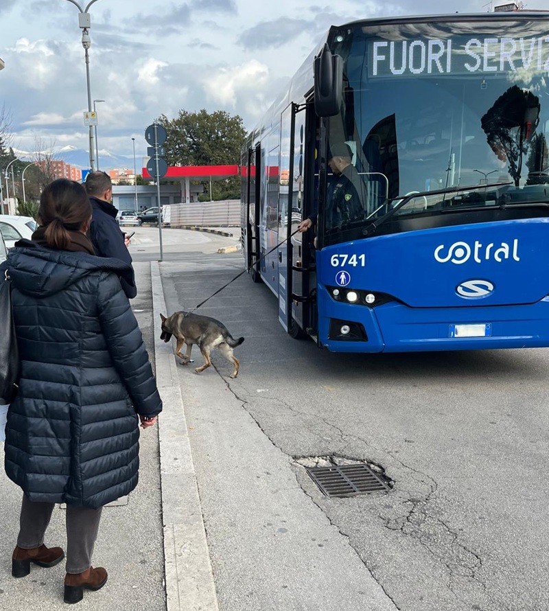 Frosinone – Progetto scuole sicure: controlli della polizia negli istituti scolastici, sequestrata sostanza stupefacente