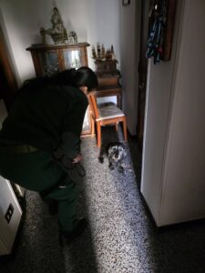 Va in ospedale ed il suo bassotto rimane in casa quattro giorni alimentato dal balcone: si cerca adozione