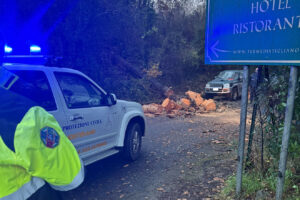 Canale Monterano – Cade un grosso albero in via Bagni di Stigliano (FOTO)