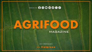 Agrifood Magazine – 24/12/2025