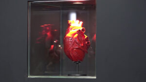 L’arte di Jago all’aeroporto di Fiumicino con “Apparato circolatorio”