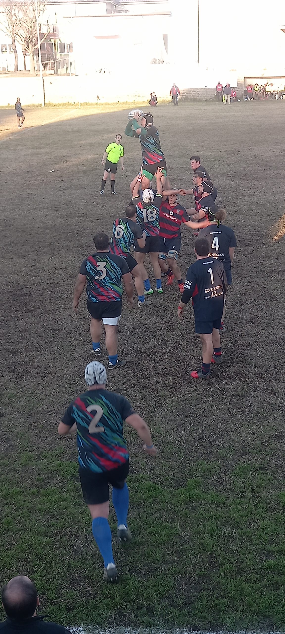 Rugby, i Lions Alto Lazio chiudono il 2025 primi in classifica in solitaria