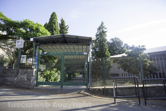 Accorpamento istituti Marchini e Virgili: “Decisione calata dall’alto che arreca disagi agli studenti”