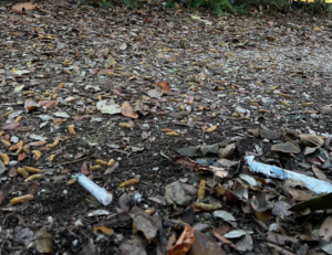 Viterbo – Siringhe a Prato Giardino, prosegue l’emergenza anche sotto le feste (FOTO)