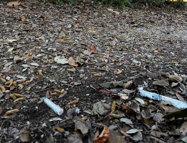 Viterbo – Siringhe a Prato Giardino, prosegue l’emergenza anche sotto le feste (FOTO)