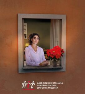 Lotta alle leucemie, tornano le stelle di Natale Ail per la ricerca