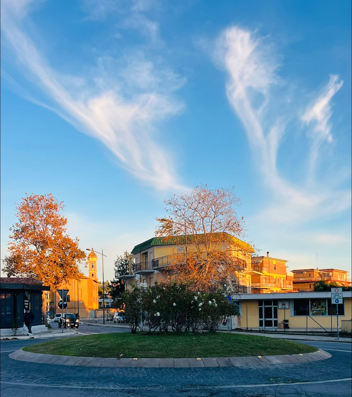 A Cerveteri nascono le “aiuole sponsorizzate”: gestione di uno spazio verde in cambio di pubblicità