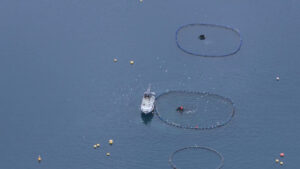 Pesca, stop ai tagli: nel 2026 niente riduzione delle giornate in mare