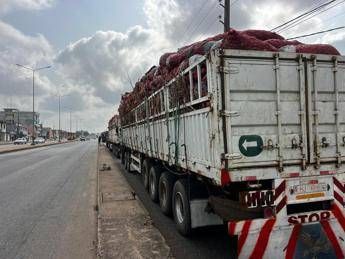 Benin, sventato tentativo di colpo di stato