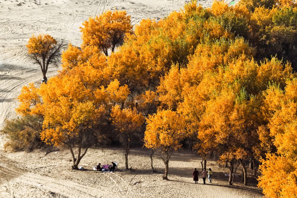 Cina, nello Xinjiang produzione di petrolio greggio supera 1,7 mln di tonnellate
