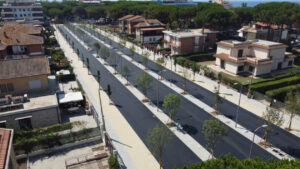 Taglio dei pini a Tarquinia, il Tribunale assolve Giulivi: “Nessun reato”