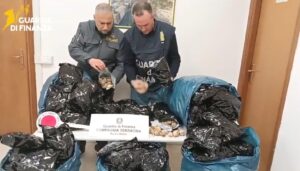 Latina – Guardia di finanza sequestra 15mila bulbi di papavero da oppio, arrestato uomo