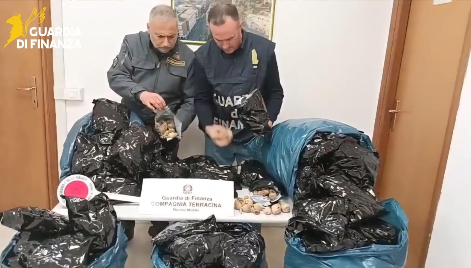 Latina – Guardia di finanza sequestra 15mila bulbi di papavero da oppio, arrestato uomo